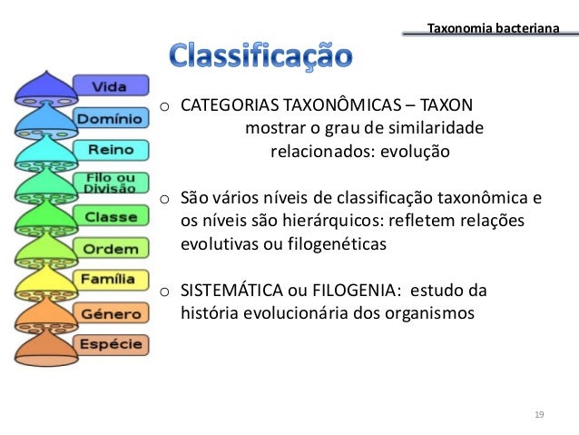 taxonomia bacteriana